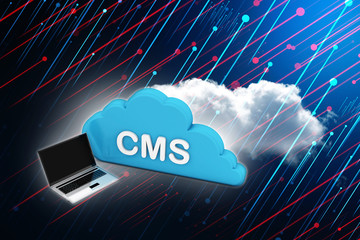 Poster - 3d rendering laptop CMS on a screen
