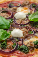 Canvas Print - Close up of mini mozzarella on pizza. Macro. Basil lieves, red onion rings.