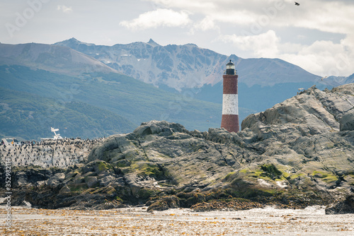 Fototapeta Grupa dzikich ptaków lwów morskich i kormoranów relaksujących się na skale nad kanałem beagle w pobliżu latarni morskiej Les Eclaireurs w Ushuaia, Patagonia. Argentyna