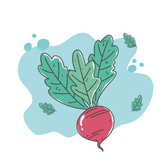 Wall Mural - healthy food nutrition diet organic vegetable beet icon