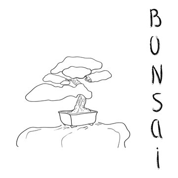 Bonsai tree. Black outline vector illustration on a white background isolated. Plant in a pot. Small pine silhouette. Japanese traditional art. Chinese stone garden