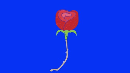 Poster - rose hand drawn animation blue screen. explanatory icons for video editing