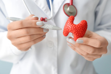 Doctor with model of thyroid gland and pen, closeup