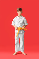 Wall Mural - Cute little boy practicing karate on color background