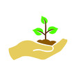 © hudhi - Plant in hand icon symbol vector on white background.
