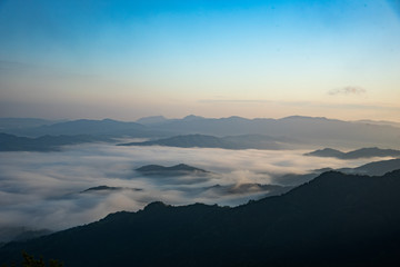 Wall Mural - 京都・大江山新緑の山影に尾根からの朝もやと雲海