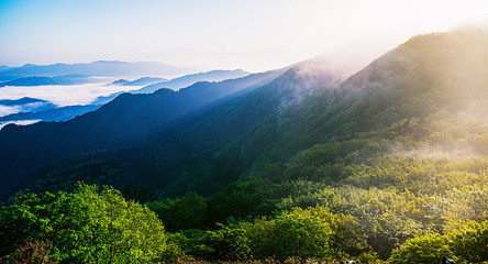 Wall Mural - 京都・大江山新緑の山影に尾根からの朝もやと雲海