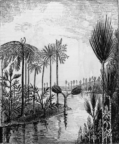 Coal flora landscape restore from the coal era after M Tableau sur Toile
