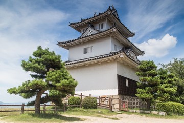 Wall Mural - Low angle shot of the magnificent Uwajima Castle captured under the blue sky in Japan