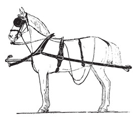 Sticker - Horse carriage harness, vintage illustration.