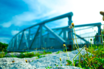 Flower beside th bridge