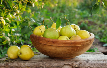 Wall Mural - Yellow ripe pears in a wooden bowl. Organic food. Harvest season. Selective focus.