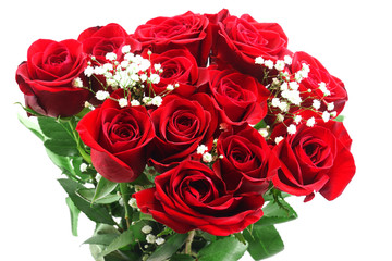Fotomurales - fresh red roses in a bouquet isolated on white background