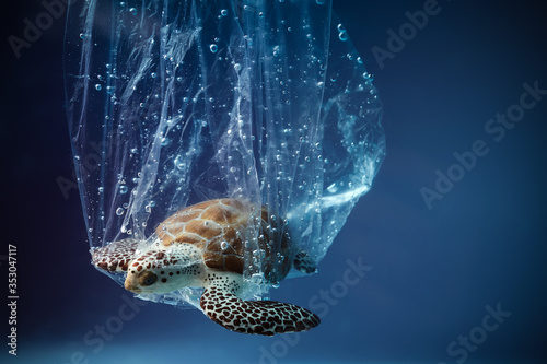 Turtle in plastic bag in ocean. Platic pollution problem. World oceans day concept. Environment concept.