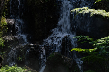 Poster - waterfall in the forest wallpaper background