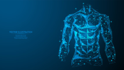 Wall Mural - Torso of a man close-up. Inflated athletic muscular body. The concept of sports, healthy eating, healthy lifestyle. 3d low poly wireframe model vector illustration.