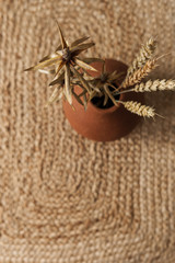 Wall Mural - Dry rye, wheat stalks in red clay pot on straw background. Minimal interior design decoration.