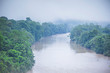 Mystical rain forests along the banks of the Peruvian river. Latin America