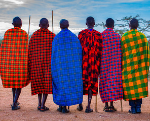 group of maasai tribesmen from east africa with spears and colourful traditional shuka cloth dress (