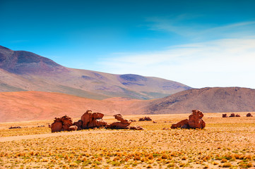 Wall Mural - Big stones in the desert on plateau Altiplano, Bolivia. South America landscapes