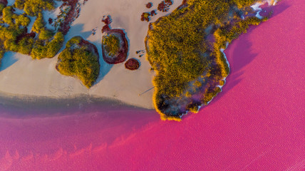 Pink lake with salt water at sunset in Ukraine