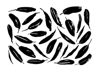 Black paint brush leaves vector collection. Set of black silhouettes banana or protea leaves.