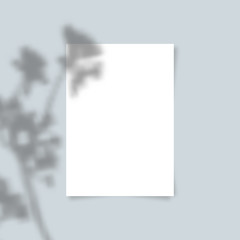 Aufkleber - A4 paper sheet with transparent overlay shadow from leaves, branches, plant or foliage. Photo-realistic illustration. Minimalist scene mockup. Vector.