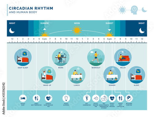 Fotografía Circadian rhythm and daily activities