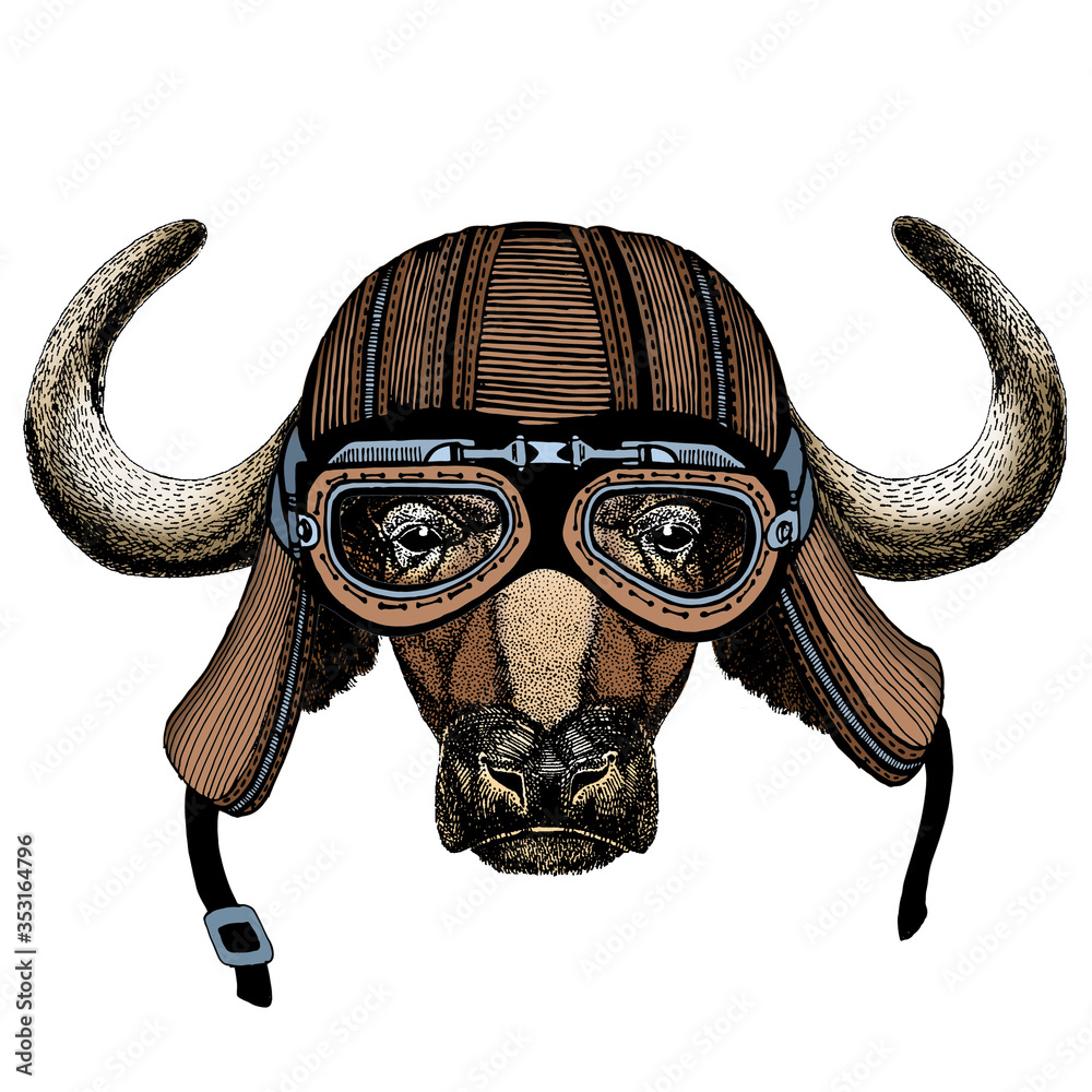 buffalo motorcycle helmet Portrait of buffalo, bison, bull, cow. Face of animal. Motorcycle helmet.  Stock Vector