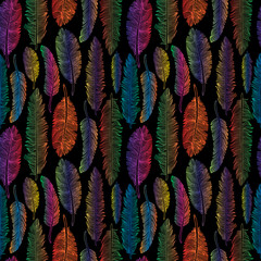 Seamless pattern of rainbow feathers . illustration of tribal style on black.