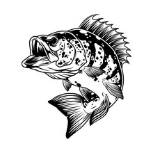 Aggressive Bass Fish Monochrome Template