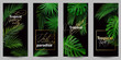 Stylish wallpapers for smartphone with tropical leaves on black background