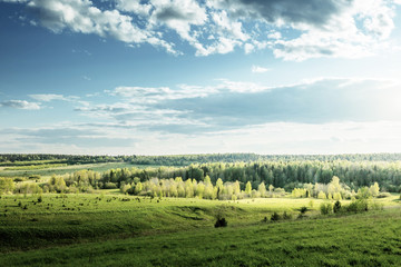 Canvas Print - field of spring grass and perfect sky