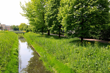 Wall Mural - Narrow canal in the park