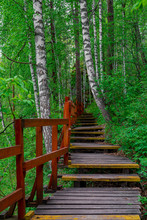 Pathway In Form Of Wooden Stairs Deep In The Forest