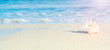 © Vladimir - sea shells on tropical sand turquoise sea, summer vacation travel concept