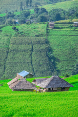 Pa Bong Piang Rice Terraces in Mae Chaem, Chiang Mai, Thailand.