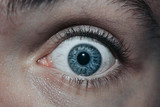 Close up of Surprised Scared Look. Close up of Eye. Blue Eye with Veins. 