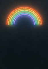 Wall Mural - creative fluorescent color rainbow layout made of neon tubes. flat lay neon colors. summer concept. 