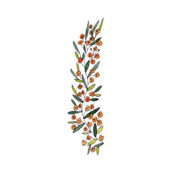 letter I of the english and latin floral alphabet. graphic on a white background. letter I of sprigs blooming with orange flowers.