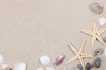 Two starfishes, different seashells and stones on the sand. Travel and tourism. Summer vacation concept. Top view. Cope space.