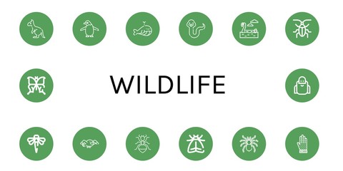 Wall Mural - Set of wildlife icons