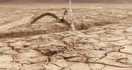 Wall Mural - Water drops falling on cracked ground of dried lake. Close up shot of dried mud after erosion and desertification - ecology, save our planet concept 4k footage