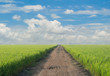 road soil move to sky and cloud with rice field sideway