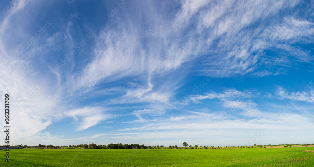 beautiful summer landscape with forest , blue sky and white clouds, a ...