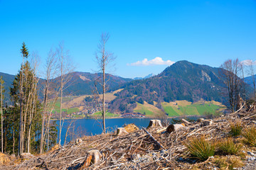 Sturmschaden und Kahlschlag im Bergwald über dem Schliersee