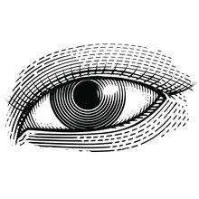 Illustration Of A Human Eye In A Vintage Style