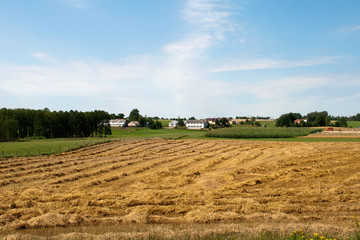 Rural Poland, view across harvested field to village in background