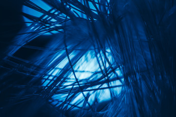 Poster - Beautiful optical fiber colored  line bokeh on a dark background.