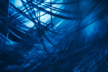Poster - Beautiful optical fiber colored  line bokeh on a dark background.